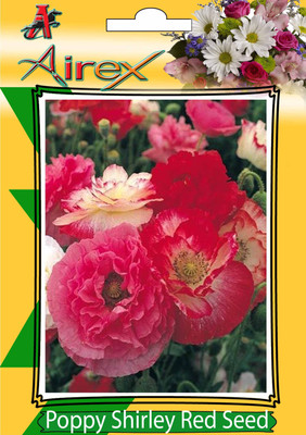 

AIrex Poppy Shirley Red Seed(20 per packet)