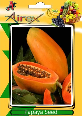 Airex Papaya Fruit Seeds (Pack Of 30 Seeds * 1 Per Packet) Seed(30 per packet)