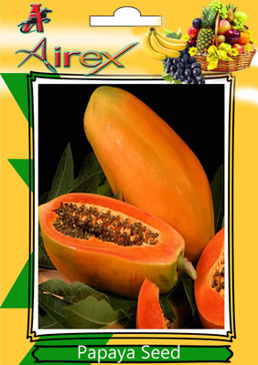 

Airex Papaya Seed(200 per packet)