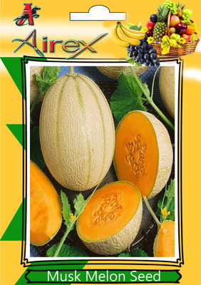 

Airex Musk Melon Seed(120 per packet)