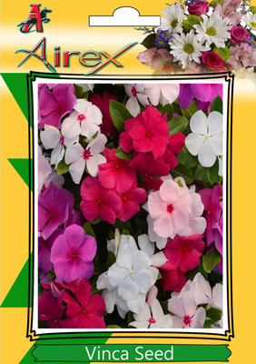 

Airex Vinca Seed(50 per packet)