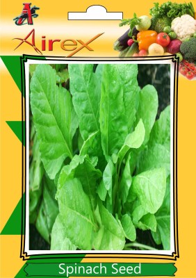 Airex Spinach Seed(300 per packet)
