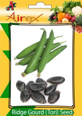 Airex Ridge Gourd Vegetables Seeds (Pack Of 30 Seeds * 1 Per Packet) Seed(30 per packet)