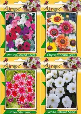 Airex Petunia Mixed, Chrysanthemum, White Petunia and Phlox Star (Twinkle Star) Flower Seeds (Pack Of 20 Seeds * 4 Per Packet) Seed(20 per packet)