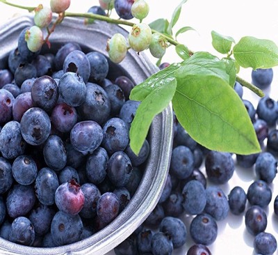 Nema Dwarf Blueberry Seed(100 per packet)