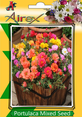 

Airex Portulaca Mixed Seed(40 per packet)