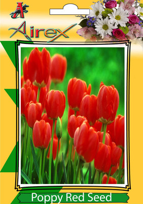 

Airex Poppy Red Winter Flower Seeds (5 Packet Of Poppy Red) Pack of 40 Seeds * 5 Per Packet Seed(200 per packet)