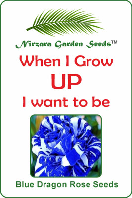 

Nirzara Garden Seeds Blue Dragon Rose Seeds Seed(30 per packet)