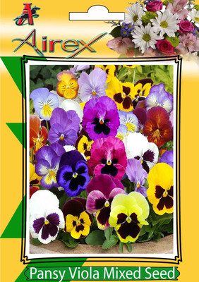

Airex Pansy Viola Mixed (Winter) Flower Seeds (8 Packet Of Pansy Viola Mixed) Pack Of 50 Seeds * 8 Per Packet Seed(400 per packet)
