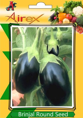 Airex Brinjal Round Vegetables Seeds (Pack Of 30 Seeds * 1 Per Packet) Seed(30 per packet)