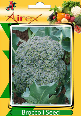 Airex Broccoli Vegetable seeds (10 Packet of Broccoli) Pack of 30 seeds * 1 0Per Packet) Seed(300 value)