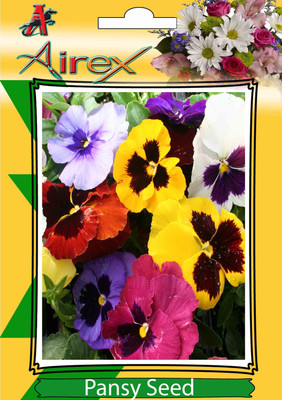 Airex Pansy Winter Flower Seeds (1 Packet Of Pansy) Pack Of 25 Seeds * 1 Per Packet Seed(25 per packet)