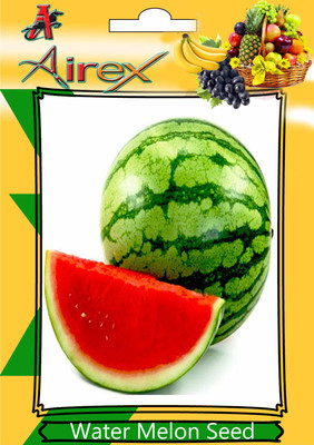 Airex Watermelon Seed(50 per packet)