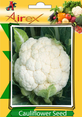 

Airex Cauliflower Vegetables seeds (2 Packet of Cauliflower) Pack Of 40 Seeds * 2 Per Packet Seed(80 per packet)