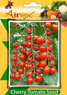 Airex Cherry Tomato Summer Vegetables Seed (pack of 100 Seed*10 Pkts) Seed (10 per packet) Seed(1000 per packet)