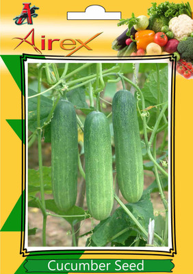 Airex Cucumber Seed(500 per packet)