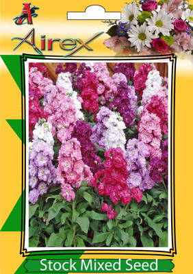 Airex Stock Mixed Seed(20 per packet)
