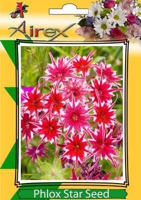 

Airex Phlox Star (Twinkle Star) Winter Flower Seeds (1 Packet Of Phlox Star) Pack Of 40 Seeds* 1 Per Packet Seed(40 per packet)