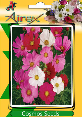 

Airex Cosmos Mixed Summer Flower Seed (Pack Of 30 Seed * 1 Per Packet) Seed(30 per packet)