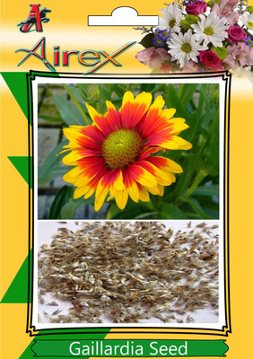 Airex Gaillardia Seed(20 per packet)