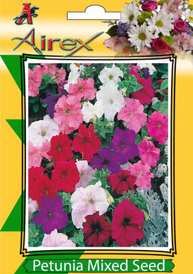 

Airex Petunia Mixed (Winter) Flower Seeds (4 Packet Of Petunia Mixed) Pack Of 50 Seeds * 4 Per Packet Seed(200 per packet)
