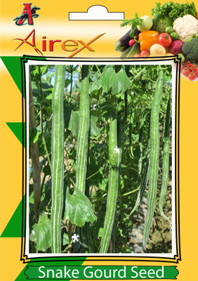 

Airex Snake Gourd Summer vegetables Seed (pack of 30 Seed*4 Pkts) Seeds (4 per packet) Seed(120 per packet)