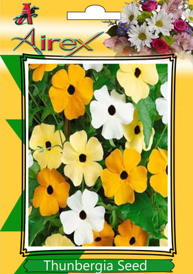 

Airex Thunbergia Seed(25 per packet)