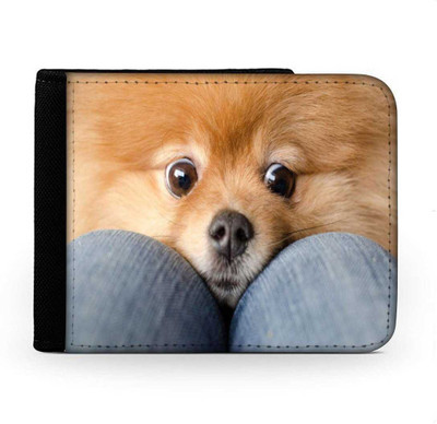 

Snoogg Men Multicolor Canvas Wallet(6 Card Slots), Multi