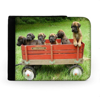 

Snoogg Men Multicolor Canvas Wallet(6 Card Slots), Multi