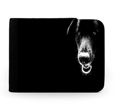 

Snoogg Men Multicolor Canvas Wallet(6 Card Slots), Multi