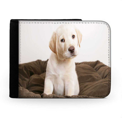 

Snoogg Men Multicolor Canvas Wallet(6 Card Slots), Multi