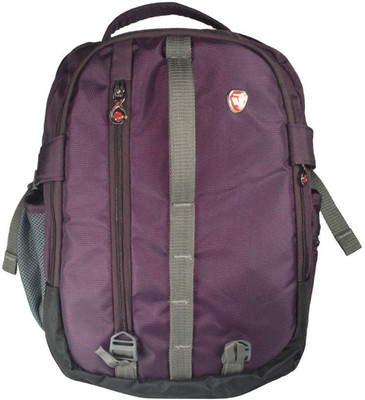 

Winsor Exclusive Imported casual Backpack 3 L Backpack(Purple)