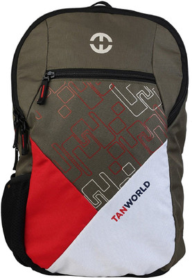 

Tanworld Twltbp03 4.5 L Laptop Backpack(Grey)