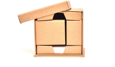 

Scube 4 Compartments Recycled Eco Friendly Memo Pad(Brown)