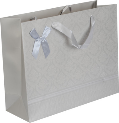 

Enwraps Printed Party Bag(Silver, Pack of 12)