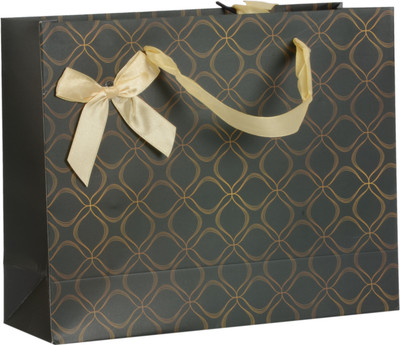 

Enwraps Printed Party Bag(Green, Pack of 12)