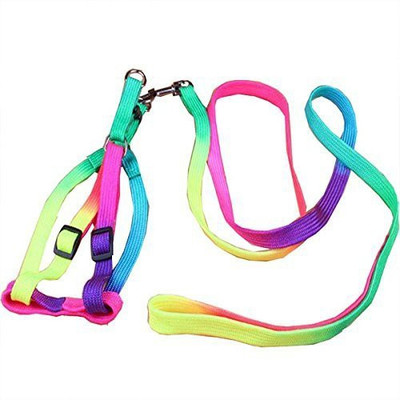 

pets empire Dog Cat Rainbow Colorful Adjustable Nylon Puppy Leash Harness Size- Small Dog Harness & Leash(, Multicolor