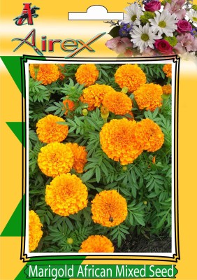 Airex Marigold African Mixed Summer Flower Seed (Pack Of 30 Seed * 1 Per Packet) Seed(30 per packet)
