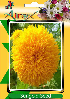 

Airex Sungold Seed(250 per packet)
