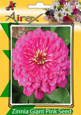 Airex Pink Zinnia Summer Flower Seed (Pack Of 30 Seed * 1 Per Packet) Seed(30 per packet)