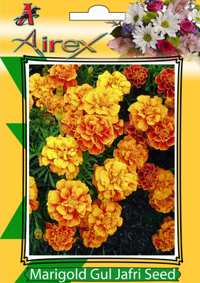 

Airex Marigold Gul Jafri Seed(20 per packet)