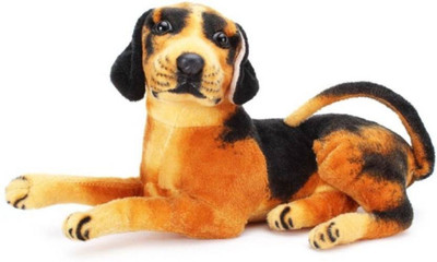 

SR FASHION HUB DOG - 30(Brown)