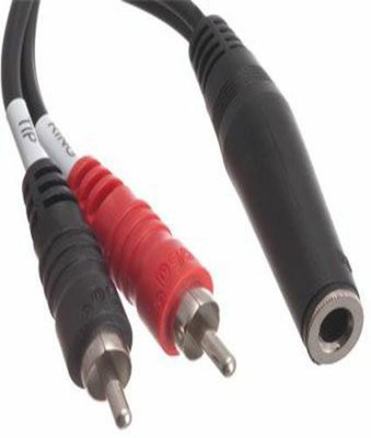 

C&E 6Inch 3.5mm Stereo Female to 2 RCA Male Cable, Gold-Plated (Red & White) CNE63102(Red & White, For TV, 0.1524 m)