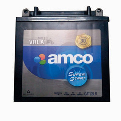Pulsar 220 amco battery price new arrivals