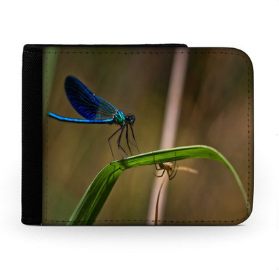 

Snoogg Men Multicolor Canvas Wallet(6 Card Slots), Multi