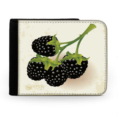 

Snoogg Men Multicolor Canvas Wallet(6 Card Slots), Multi