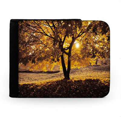 

Snoogg Men Multicolor Canvas Wallet(6 Card Slots), Multi