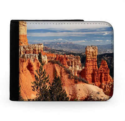 

Snoogg Men Multicolor Canvas Wallet(6 Card Slots), Multi