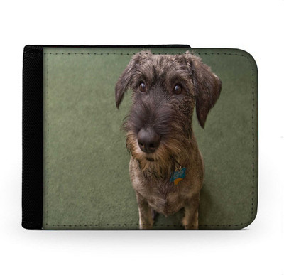 

Snoogg Men Multicolor Canvas Wallet(6 Card Slots), Multi