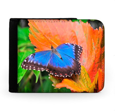 

Snoogg Men Multicolor Canvas Wallet(6 Card Slots), Multi